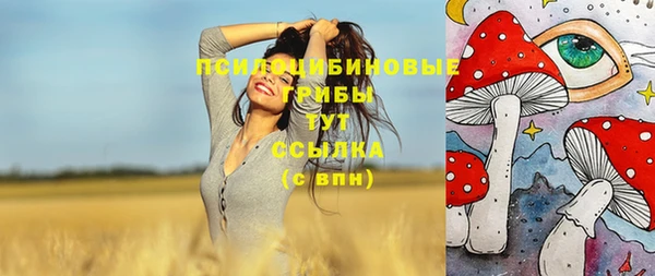 соль курить ск Вязьма