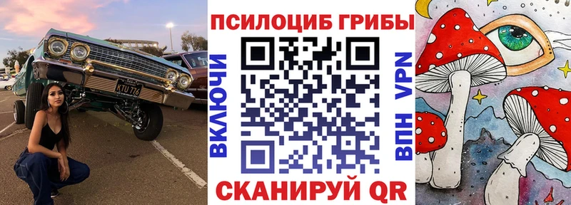 Галлюциногенные грибы Magic Shrooms  Купить  Красавино 